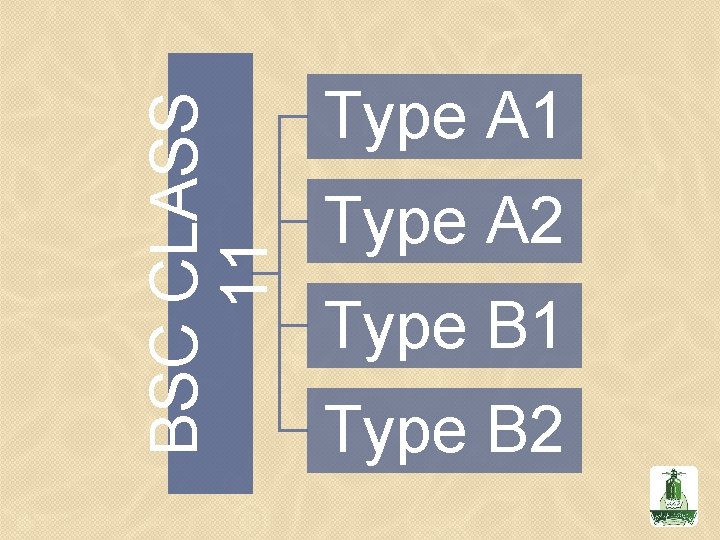 BSC CLASS 11 Type A 2 Type B 1 Type B 2 
