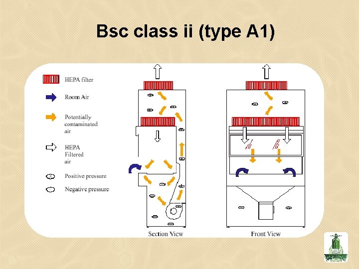 Bsc class ii (type A 1) 