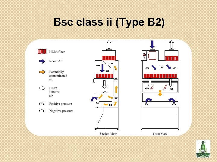 Bsc class ii (Type B 2) 