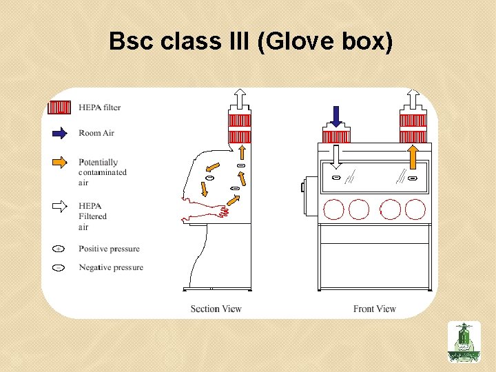 Bsc class III (Glove box) 