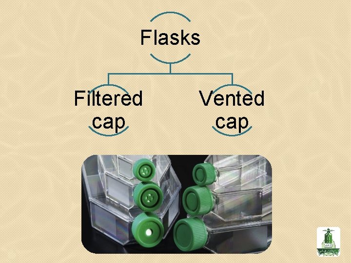 Flasks Filtered cap Vented cap 