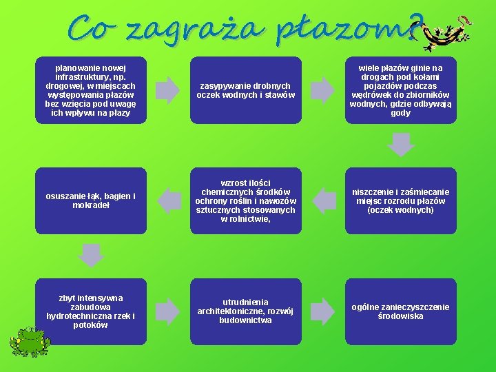Co zagraża płazom? planowanie nowej infrastruktury, np. drogowej, w miejscach występowania płazów bez wzięcia