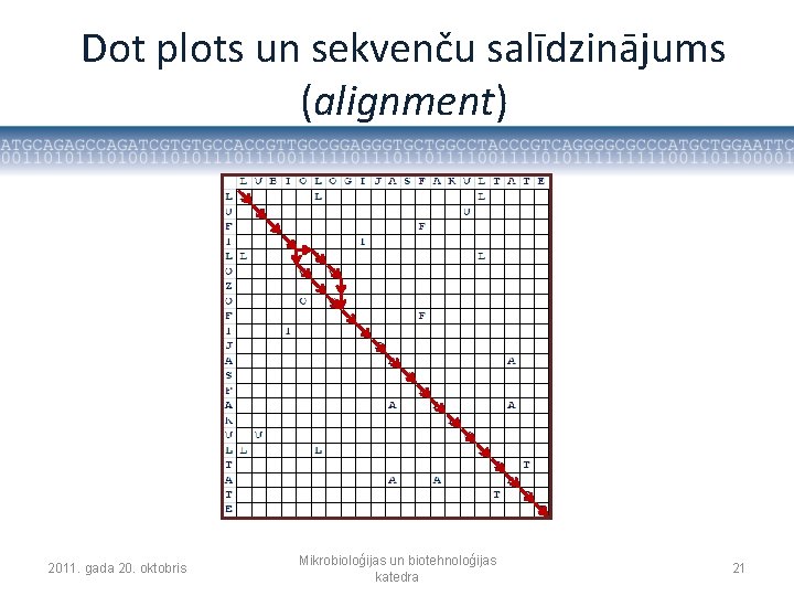 Dot plots un sekvenču salīdzinājums (alignment) 2011. gada 20. oktobris Mikrobioloģijas un biotehnoloģijas katedra