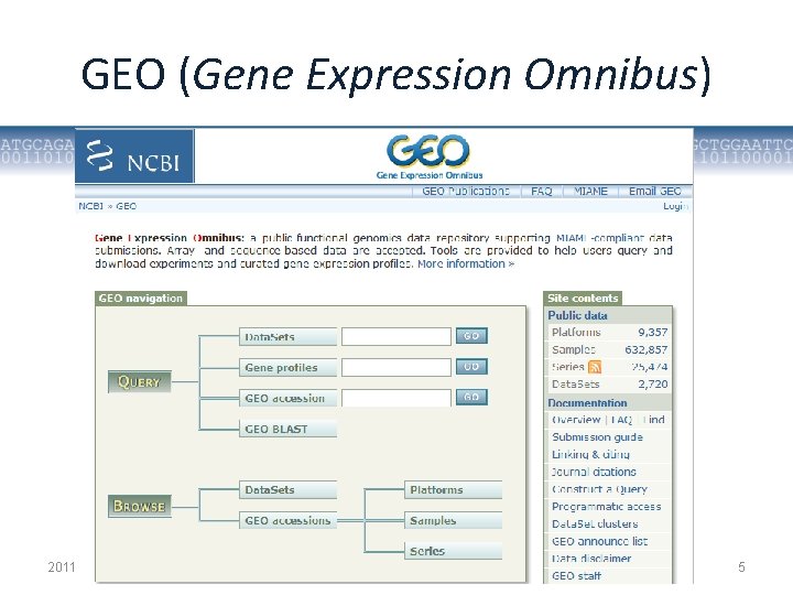 GEO (Gene Expression Omnibus) 2011. gada 20. oktobris Mikrobioloģijas un biotehnoloģijas katedra 5 