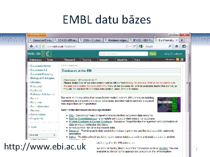 EMBL datu bāzes http: //www. ebi. ac. uk 2011. gada 20. oktobris Mikrobioloģijas un