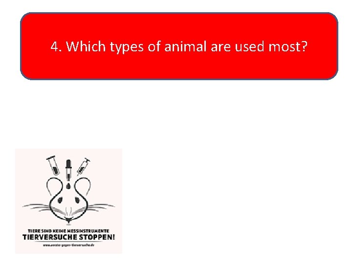 4. Which types of animal are used most? 