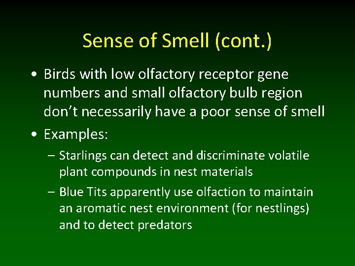 Sense of Smell (cont. ) • Birds with low olfactory receptor gene numbers and