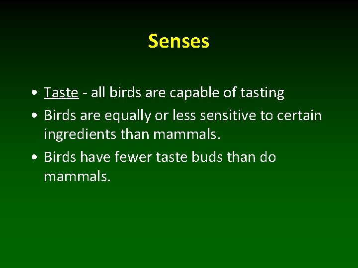 Senses • Taste - all birds are capable of tasting • Birds are equally