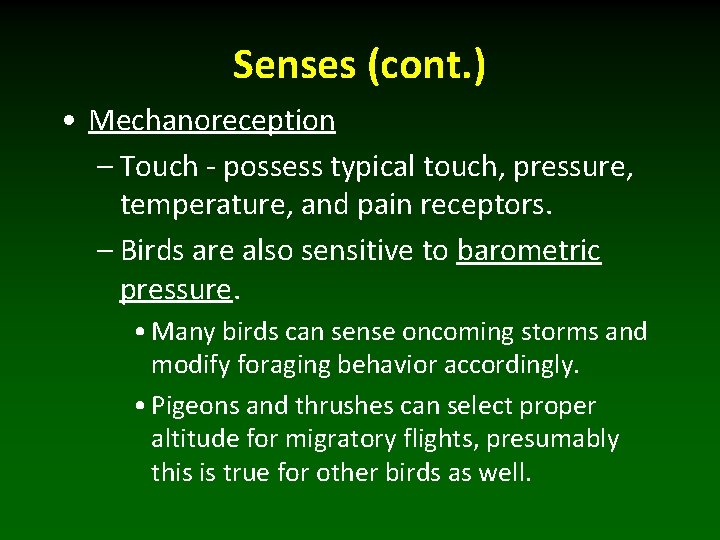 Senses (cont. ) • Mechanoreception – Touch - possess typical touch, pressure, temperature, and