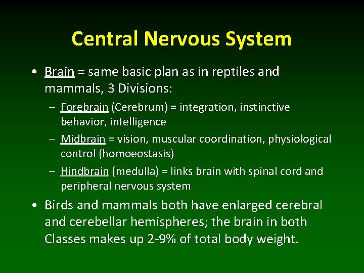 Central Nervous System • Brain = same basic plan as in reptiles and mammals,