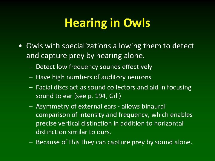 Hearing in Owls • Owls with specializations allowing them to detect and capture prey