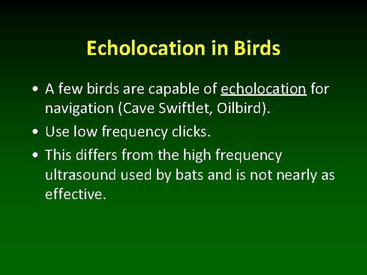 Echolocation in Birds • A few birds are capable of echolocation for navigation (Cave