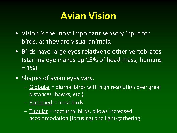 Avian Vision • Vision is the most important sensory input for birds, as they