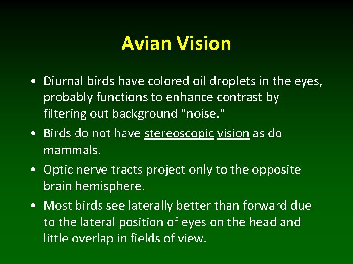 Avian Vision • Diurnal birds have colored oil droplets in the eyes, probably functions