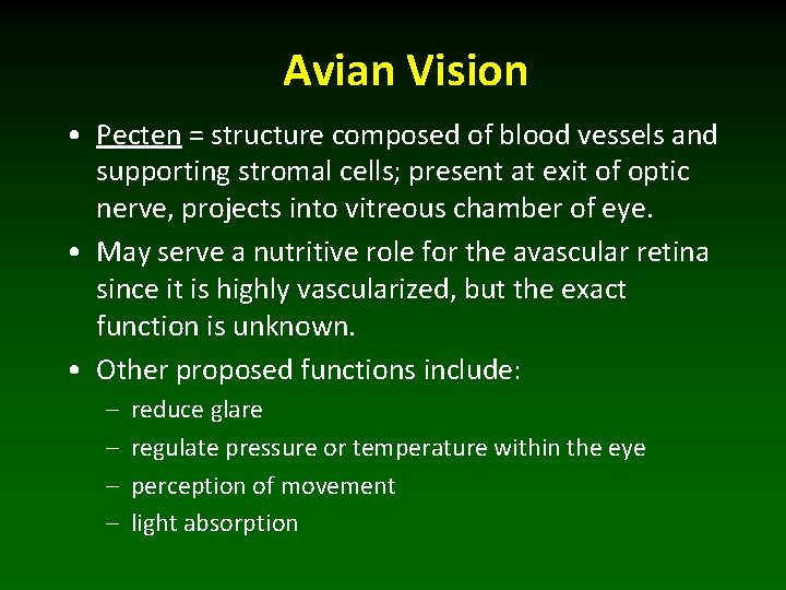 Avian Vision • Pecten = structure composed of blood vessels and supporting stromal cells;