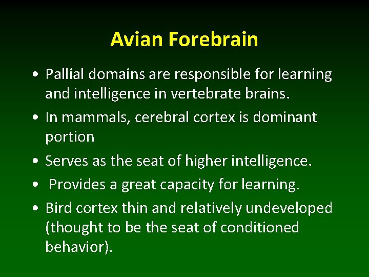 Avian Forebrain • Pallial domains are responsible for learning and intelligence in vertebrate brains.