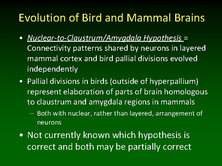 Evolution of Bird and Mammal Brains • Nuclear-to-Claustrum/Amygdala Hypothesis = Connectivity patterns shared by