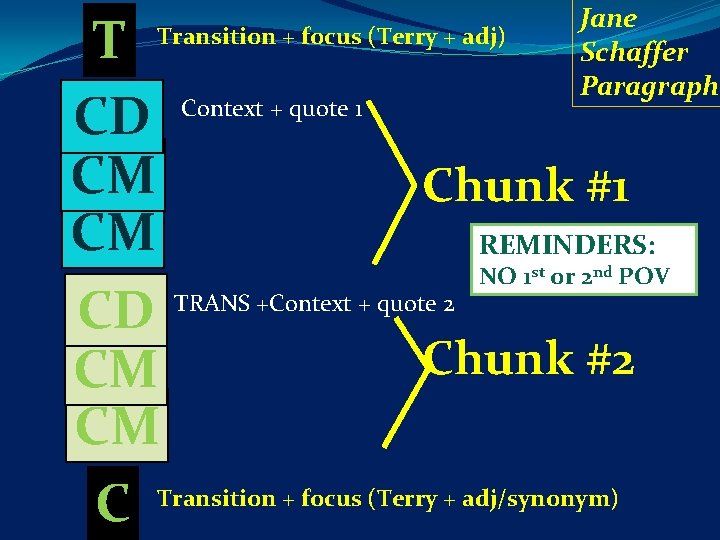 Jane Schaffer Paragraph T Transition + focus (Terry + adj) Context + quote 1