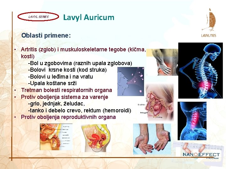 LAVYL SERIES Lavyl Auricum Oblasti primene: • Artritis (zglob) i muskuloskeletarne tegobe (kičma, kosti)