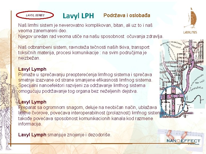 LAVYL SERIES Lavyl LPH Podržava i oslobađa Naš limfni sistem je neverovatno komplikovan, bitan,