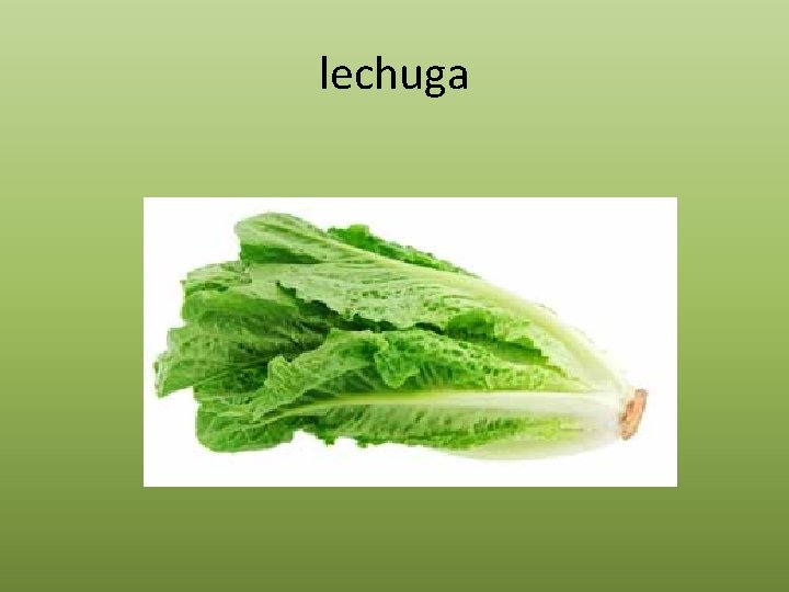 lechuga 