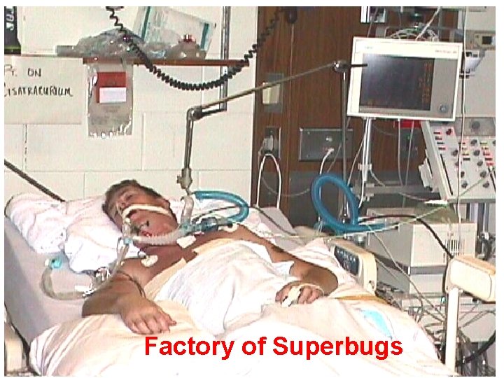 Factory of Superbugs 