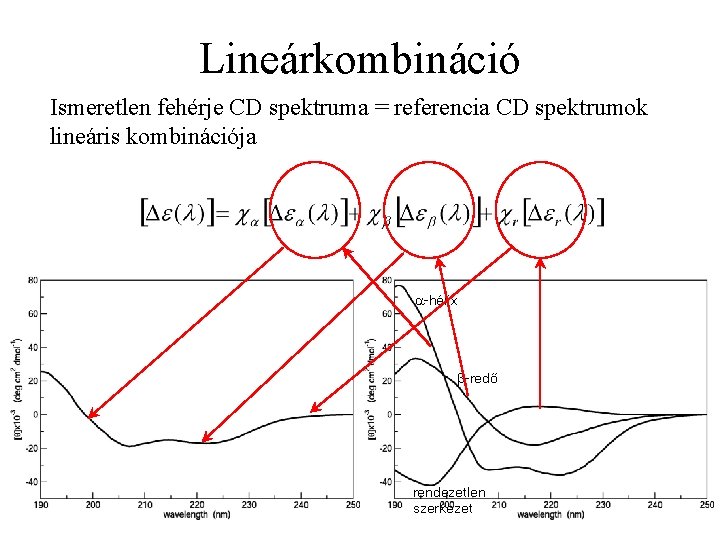 Lineárkombináció Ismeretlen fehérje CD spektruma = referencia CD spektrumok lineáris kombinációja -hélix -redő rendezetlen