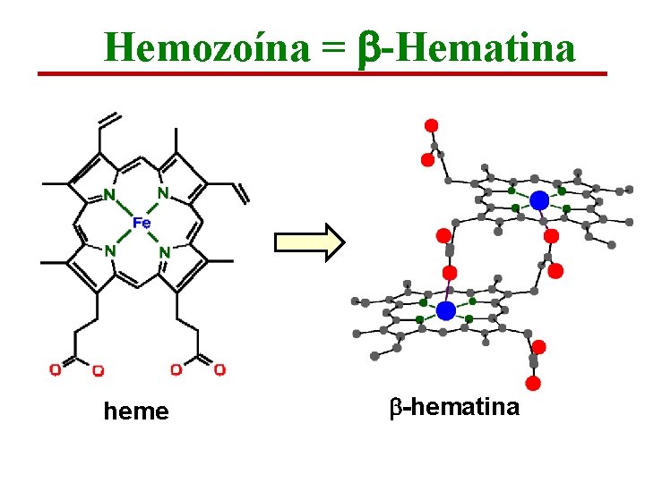 Hemozoína = b-Hematina heme b-hematina 