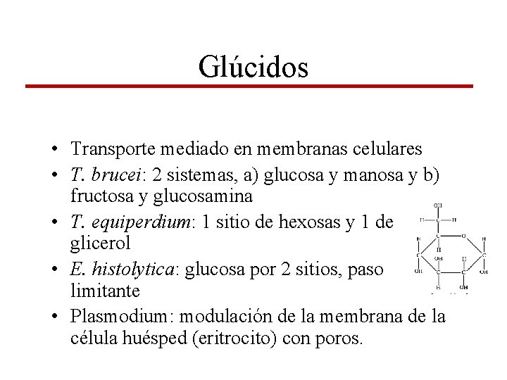 Glúcidos • Transporte mediado en membranas celulares • T. brucei: 2 sistemas, a) glucosa