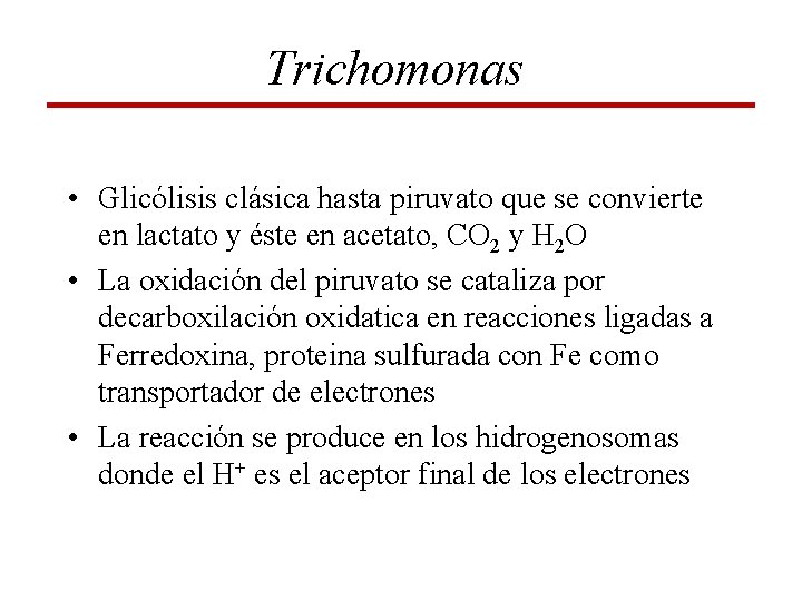 Trichomonas • Glicólisis clásica hasta piruvato que se convierte en lactato y éste en