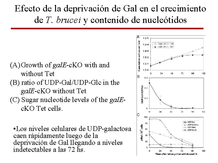 Efecto de la deprivación de Gal en el crecimiento de T. brucei y contenido