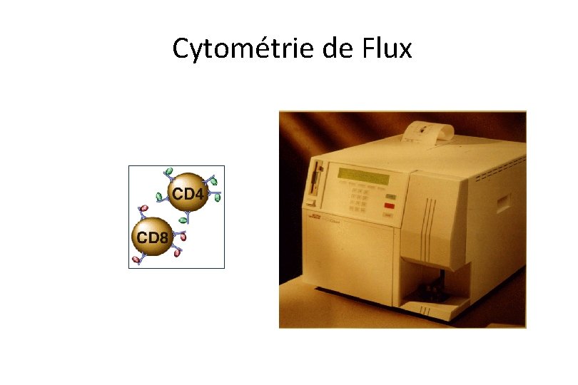  Cytométrie de Flux 