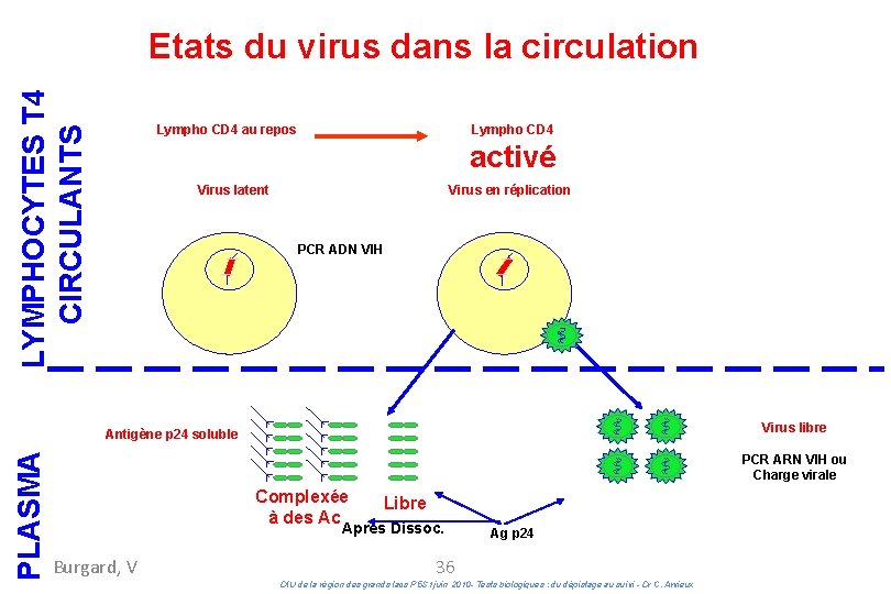 DIU des grands lacs 2010 : Tests biologiques - Mardi 18 juin 2013 PLASMA