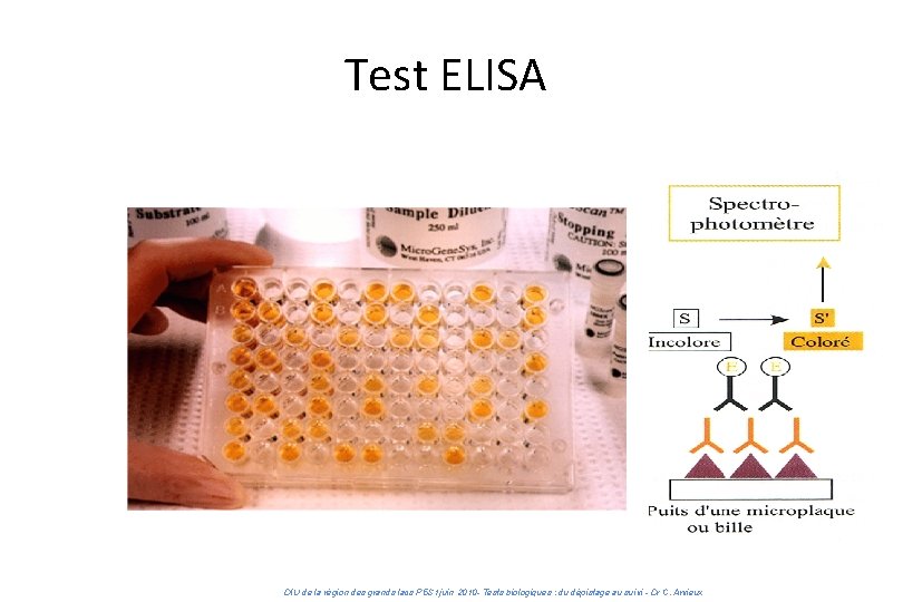 DIU des grands lacs 2010 : Tests biologiques - Mardi 18 juin 2013 Test