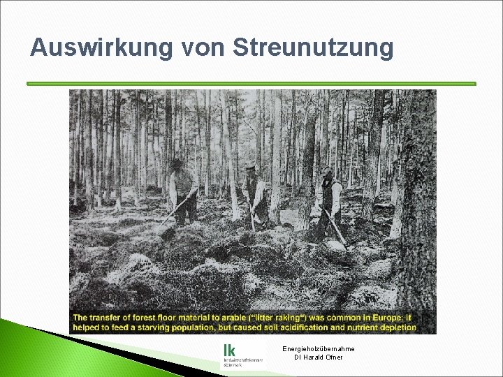 Auswirkung von Streunutzung Energieholzübernahme DI Harald Ofner 