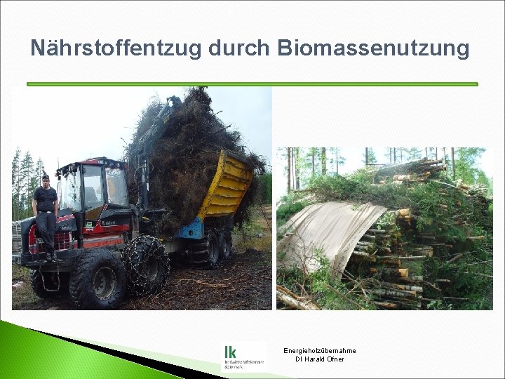 Nährstoffentzug durch Biomassenutzung Energieholzübernahme DI Harald Ofner 