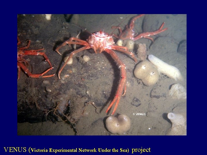 VENUS (Victoria Experimental Network Under the Sea) project 