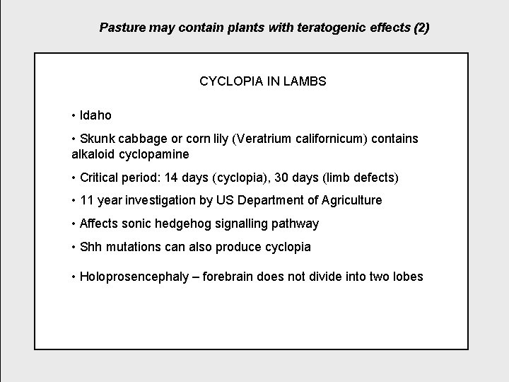 Pasture may contain plants with teratogenic effects (2) CYCLOPIA IN LAMBS • Idaho •