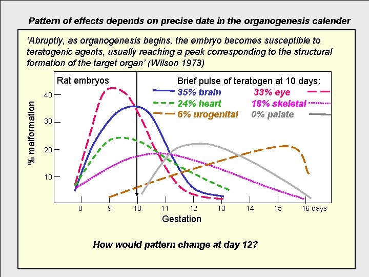 Pattern of effects depends on precise date in the organogenesis calender ‘Abruptly, as organogenesis