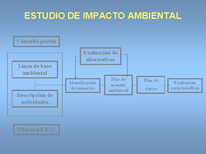 ESTUDIO DE IMPACTO AMBIENTAL Consulta previa Evaluación de alternativas Línea de base ambiental Identificación