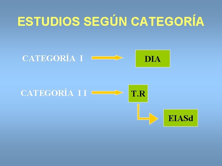 ESTUDIOS SEGÚN CATEGORÍA I I DIA T. R EIASd 