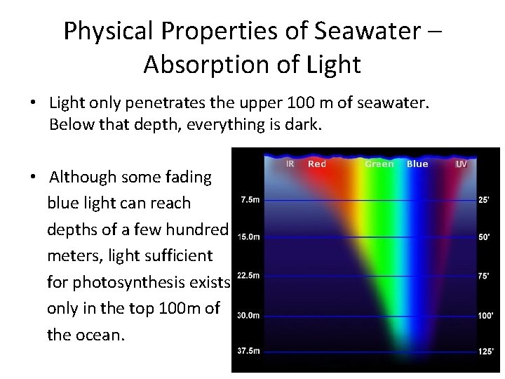 Physical Properties of Seawater – Absorption of Light • Light only penetrates the upper