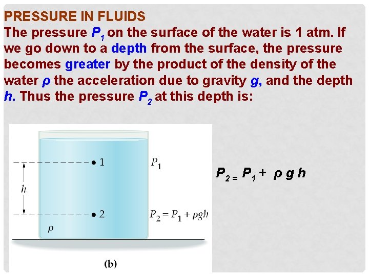 PRESSURE IN FLUIDS The pressure P 1 on the surface of the water is