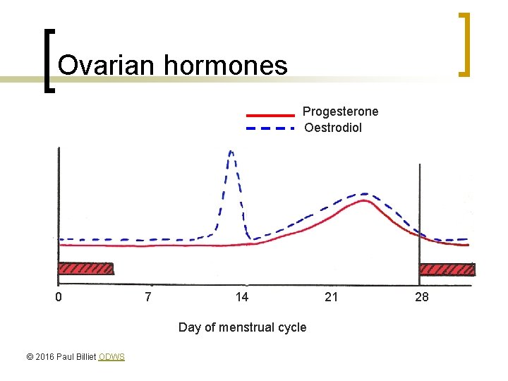 Ovarian hormones Progesterone Oestrodiol 0 7 14 Day of menstrual cycle © 2016 Paul