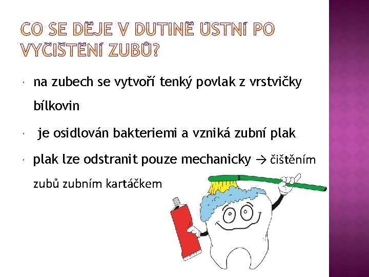  na zubech se vytvoří tenký povlak z vrstvičky bílkovin je osidlován bakteriemi a