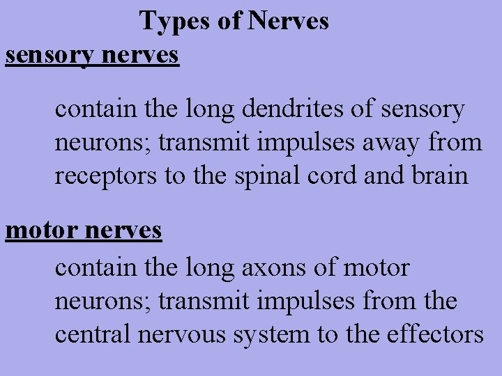 Types of Nerves sensory nerves contain the long dendrites of sensory neurons; transmit impulses