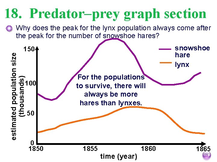 18. Predator–prey graph section Why does the peak for the lynx population always come