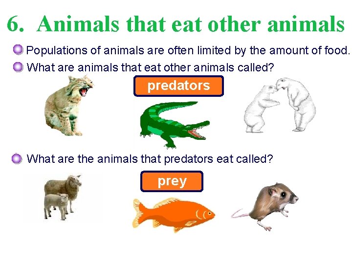 6. Animals that eat other animals Populations of animals are often limited by the