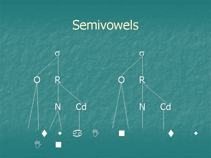 Semivowels O R N O Cd a n R N n Cd 