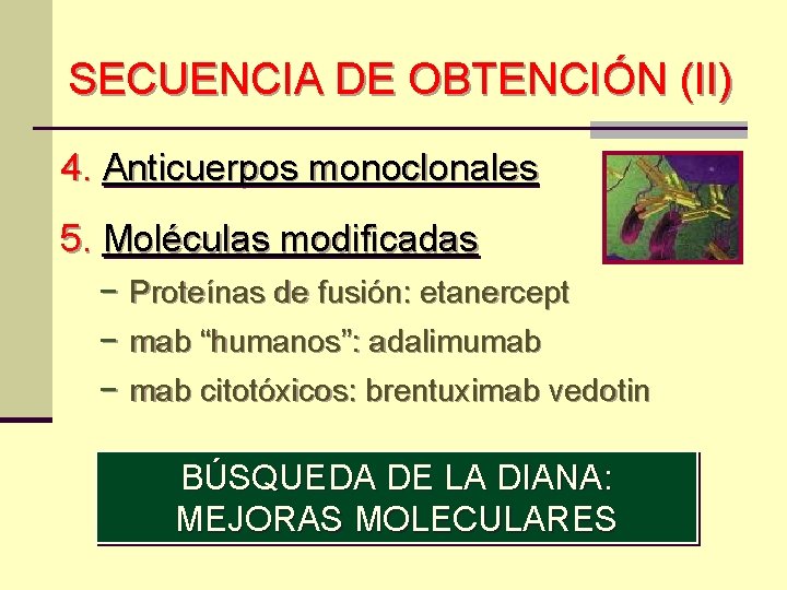 SECUENCIA DE OBTENCIÓN (II) 4. Anticuerpos monoclonales 5. Moléculas modificadas − Proteínas de fusión: